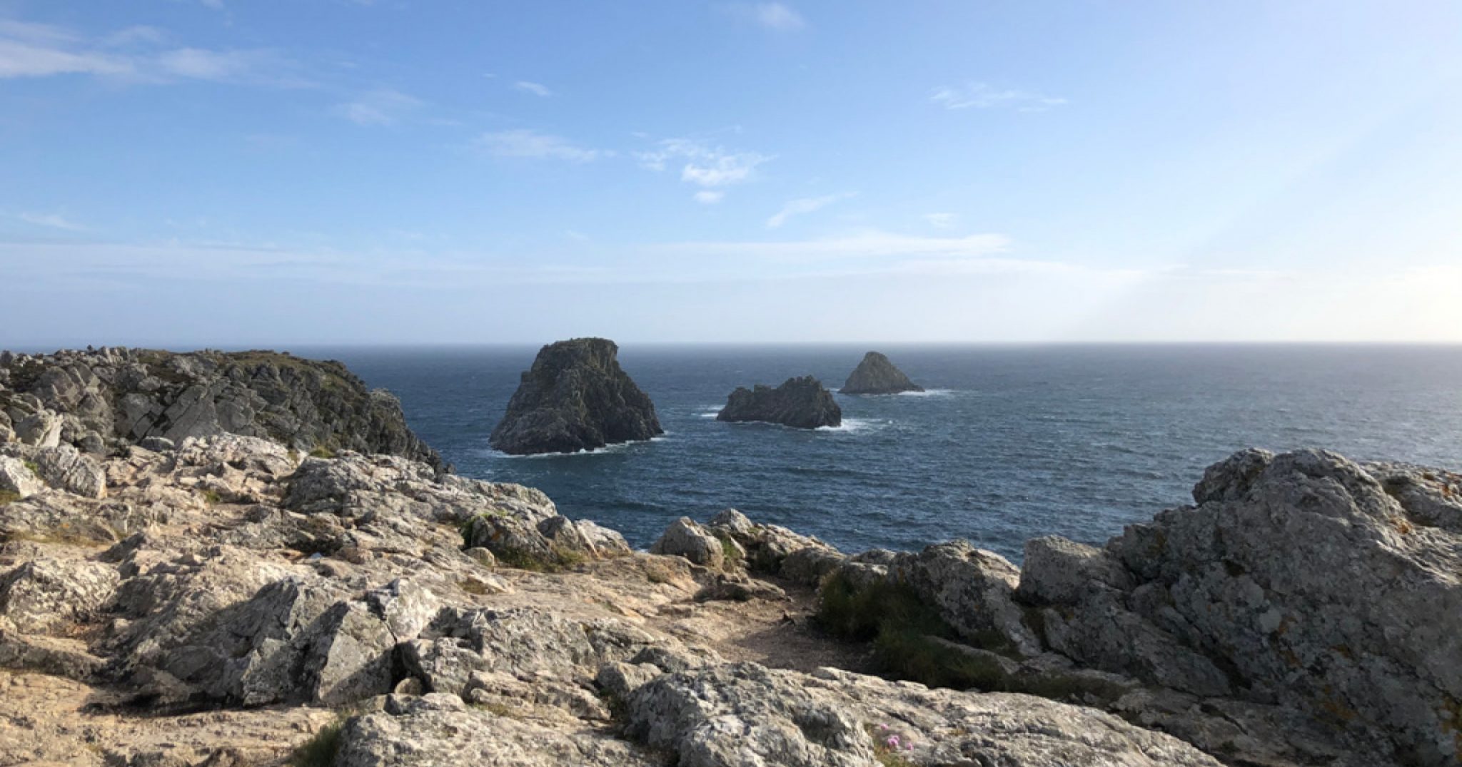 Richesses de la baie